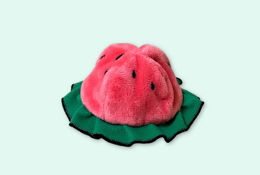 watermelon hat🍉