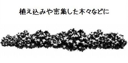コミスタ・クリスタ用ブラシ素材_黒葉05(モコモコ葉マルチ)