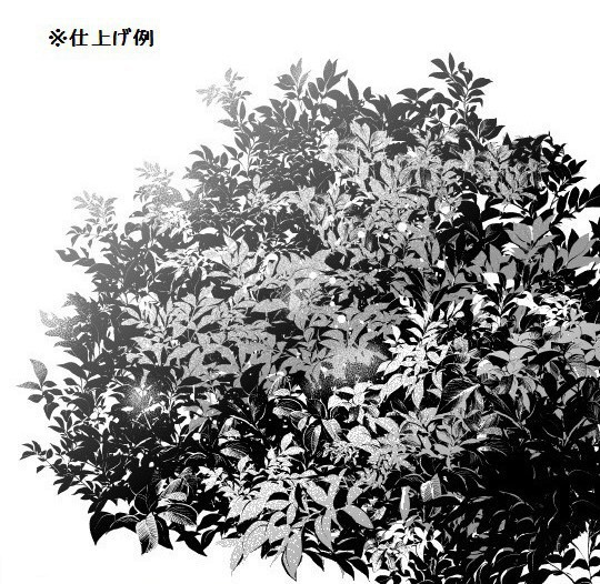 コミスタ・クリスタ用ブラシ素材_黒葉マルチ5種セット