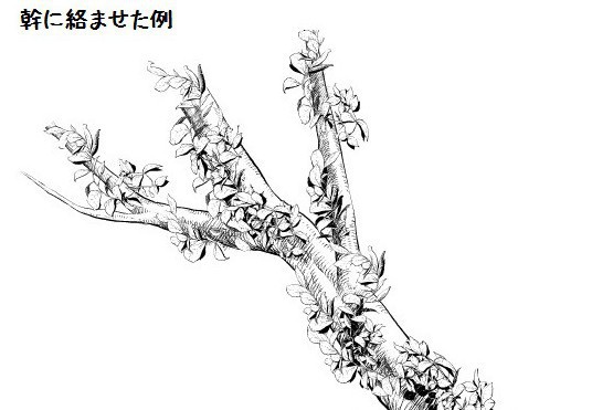 コミスタ・クリスタ用ブラシ素材_白葉02