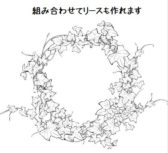 コミスタ・クリスタ用ブラシ素材_ツタ葉6種