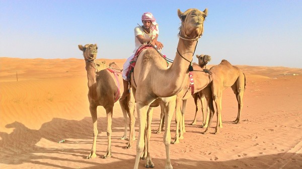 アラブの小物、砂漠、廃墟他、無料写真集