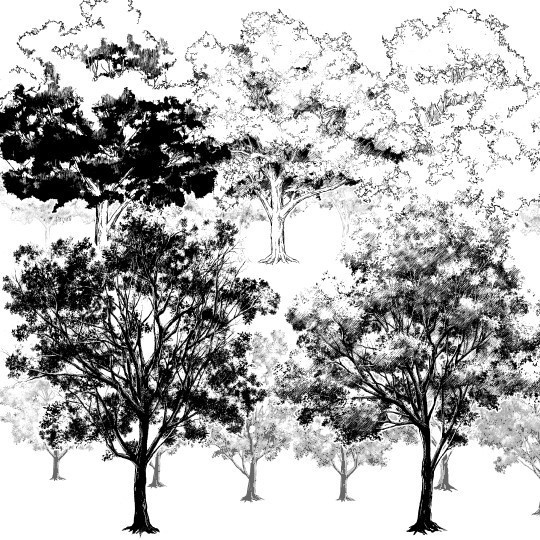 樹木ブラシ５種セット・コミスタ･クリスタ兼用素材