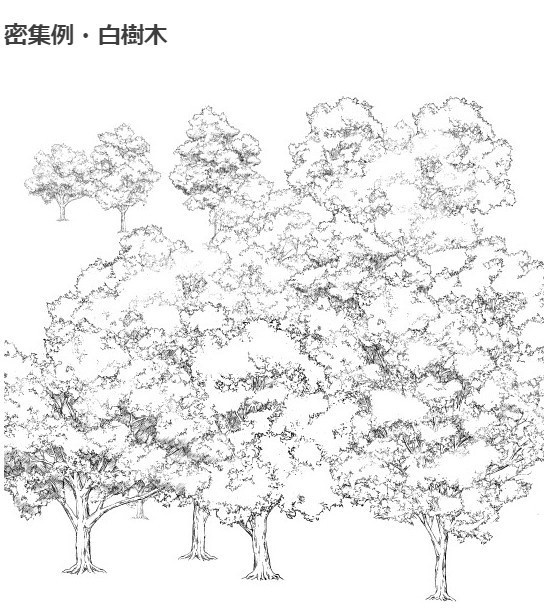 樹木ブラシ5種セット・コミスタ・クリスタ兼用素材