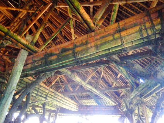 写真素材_首長の村落