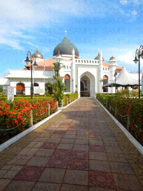 オレンジ屋根のモスク・写真素材集