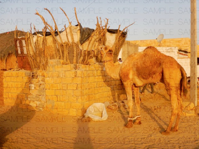 荒野の貧村:写真素材集