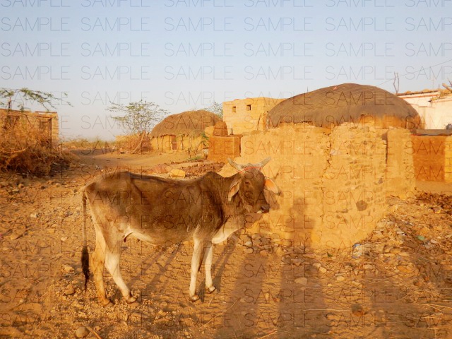 荒野の貧村:写真素材集