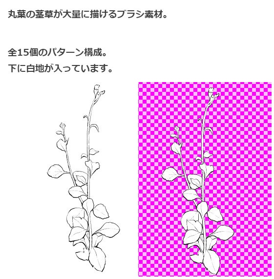 茎草ブラシ02・コミスタクリスタ兼用素材