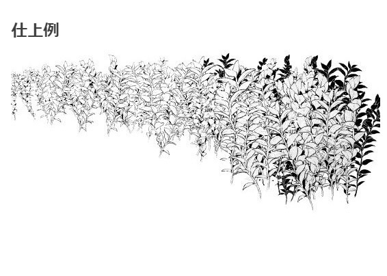 草ブラシ6種セット・コミスタクリスタ兼用素材