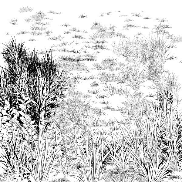 草ブラシ6種セット・コミスタクリスタ兼用素材