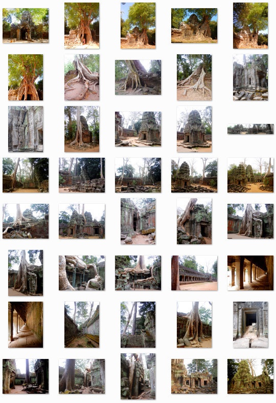 熱帯の古代遺跡:写真素材集