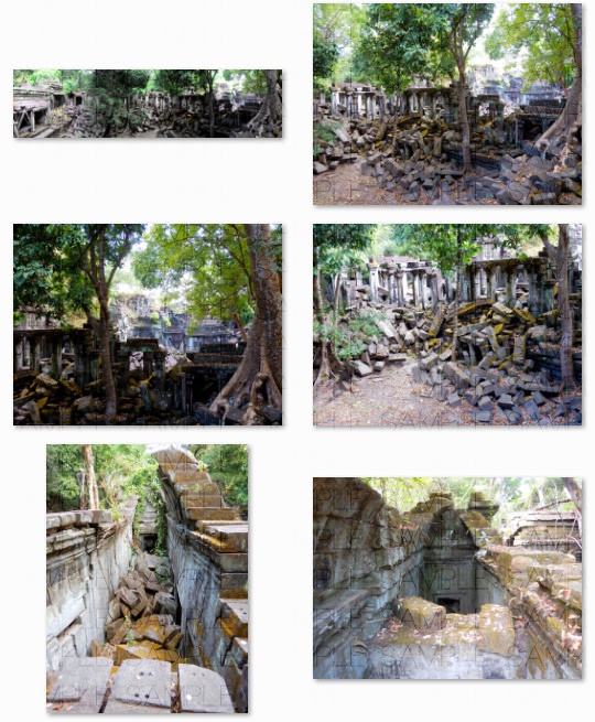 熱帯の古代遺跡:写真素材集