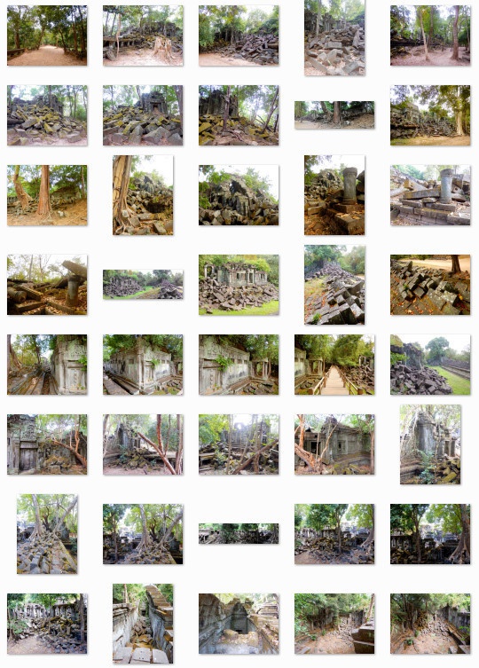 熱帯の古代遺跡:写真素材集