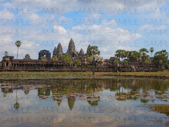 熱帯の古代遺跡:写真素材集