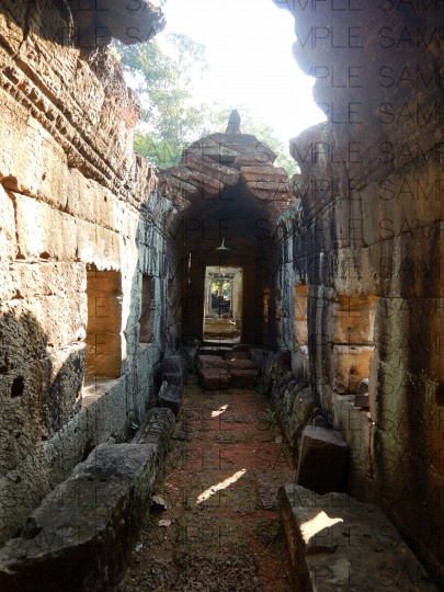 熱帯の古代遺跡:写真素材集