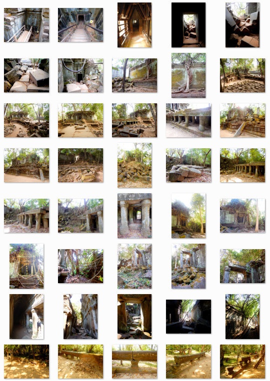 熱帯の古代遺跡:写真素材集