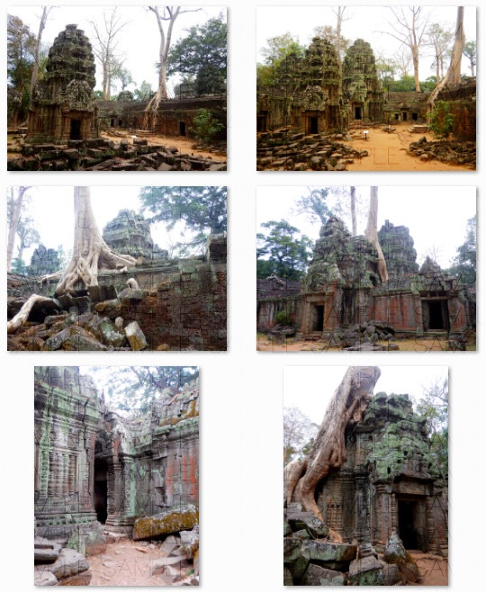 熱帯の古代遺跡:写真素材集