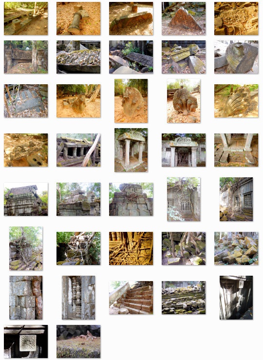 熱帯の古代遺跡:写真素材集