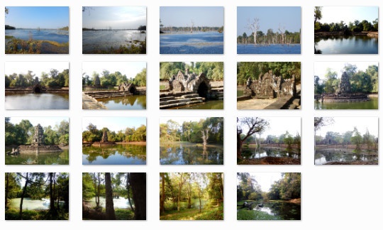 熱帯の古代遺跡:写真素材集