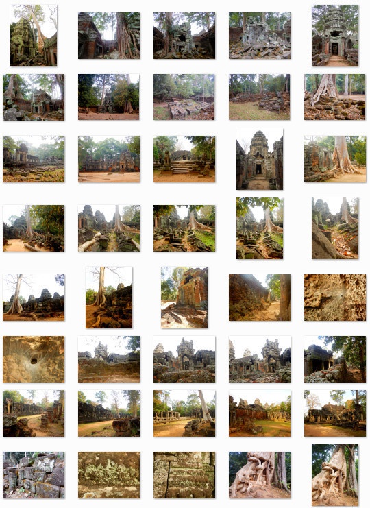 熱帯の古代遺跡:写真素材集