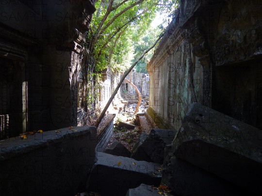 熱帯の古代遺跡:写真素材集