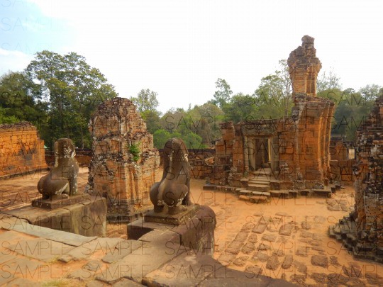 熱帯の古代遺跡:写真素材集