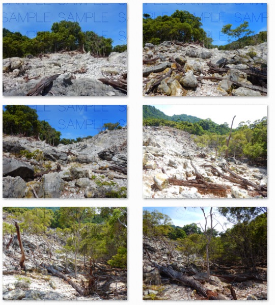 火山で朽ちた森:写真素材集