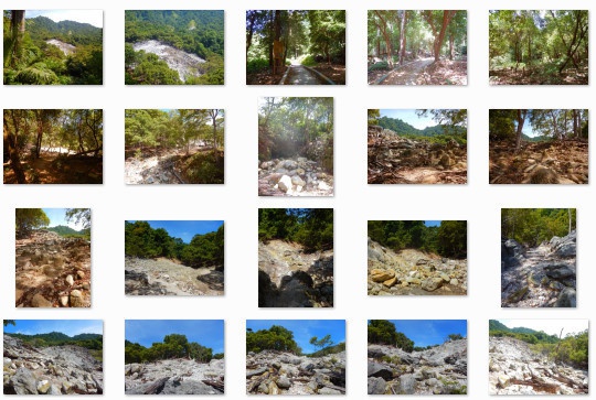 火山で朽ちた森:写真素材集