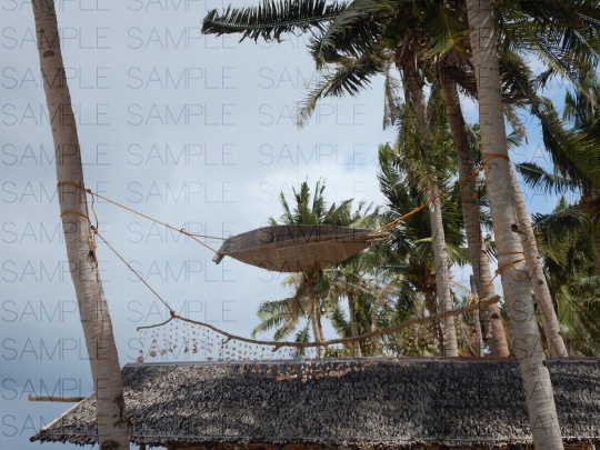 南国のワイルドビーチ:無料写真素材集