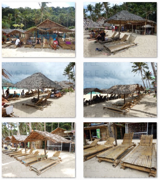 南国のワイルドビーチ:無料写真素材集