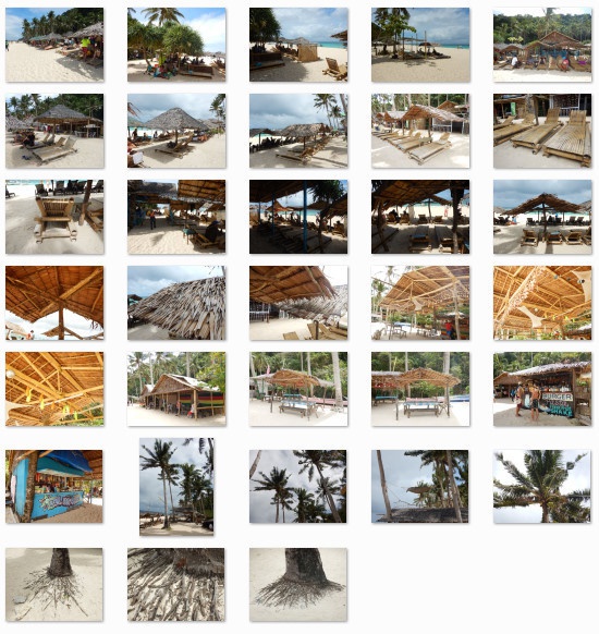 南国のワイルドビーチ:無料写真素材集