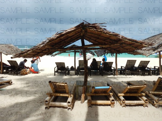 南国のワイルドビーチ:無料写真素材集