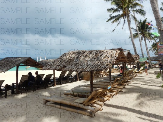 南国のワイルドビーチ:無料写真素材集