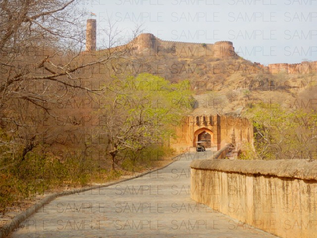 インド砂漠都市:写真素材集セット