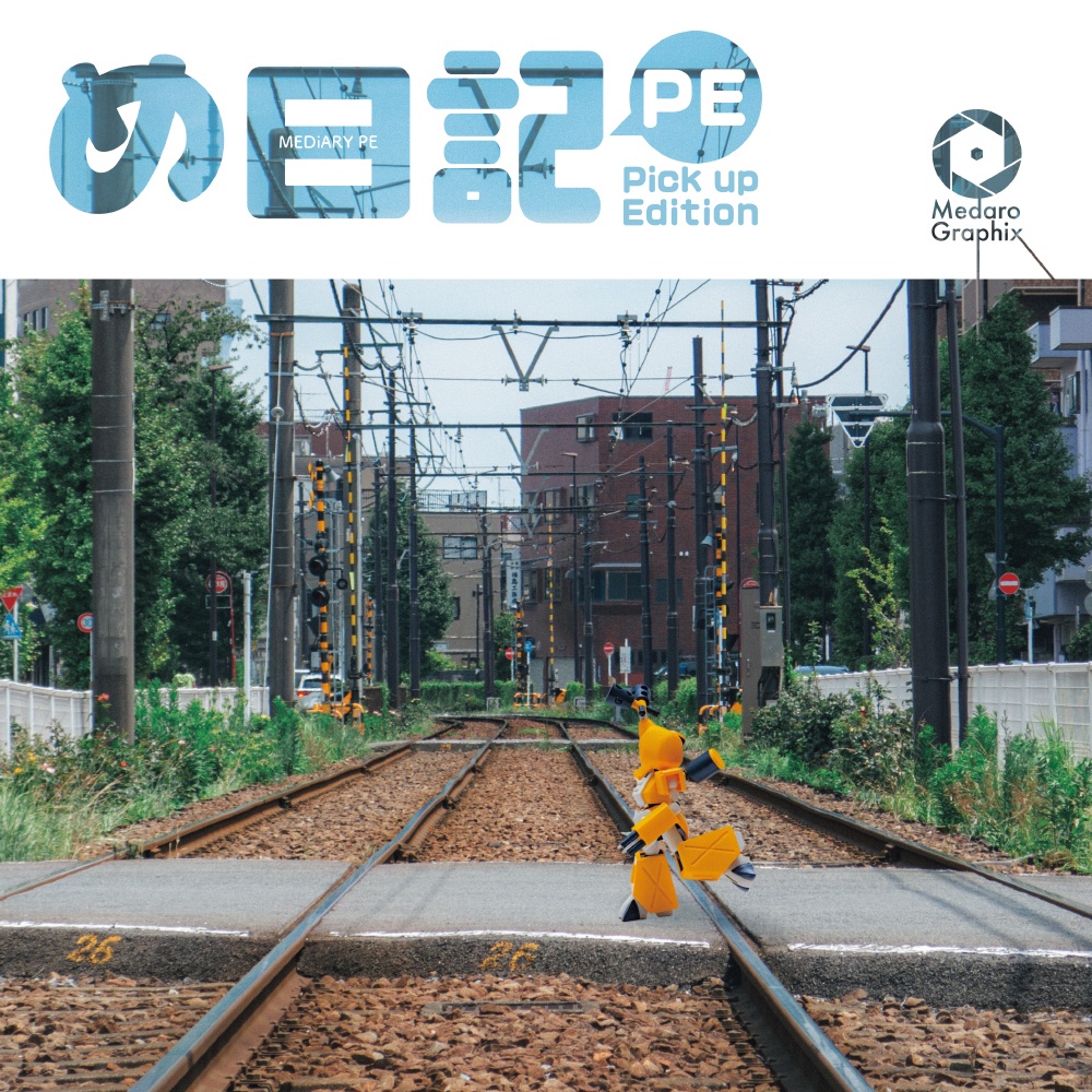 め日記 PE -Pickup Edition-