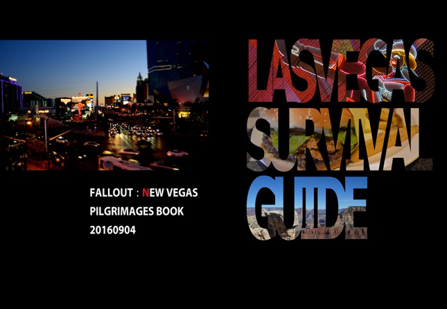 LASVEGAS SURVIVAL GUIDE