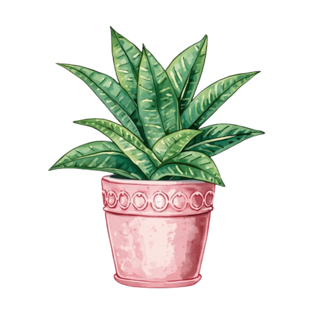 【ピンクリビングシリーズ】 水彩アンティーク風クリップアート12点セット|PNG背景透過