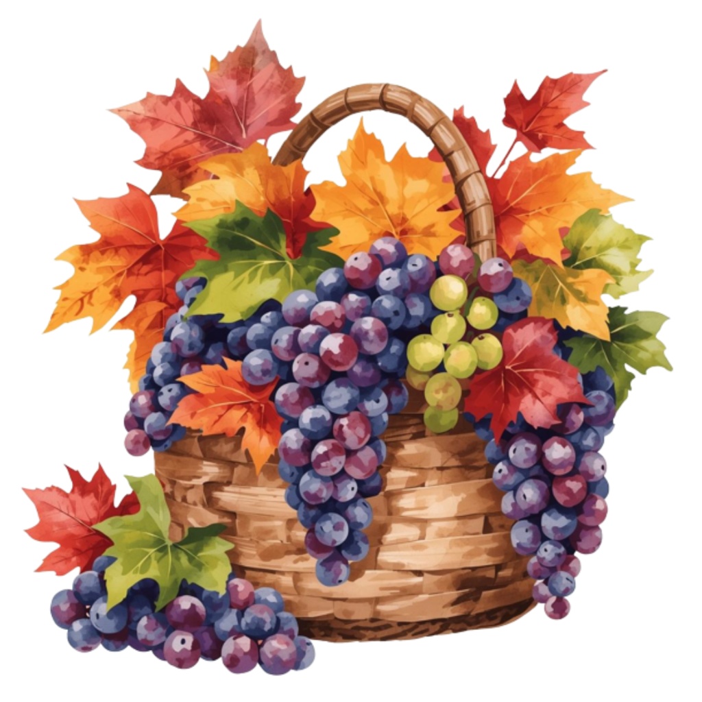 水彩ワイン&ぶどう クリップアートセット(全12点)|PNG Wine & Grapes Watercolor Clipart Set (12 PNGs)