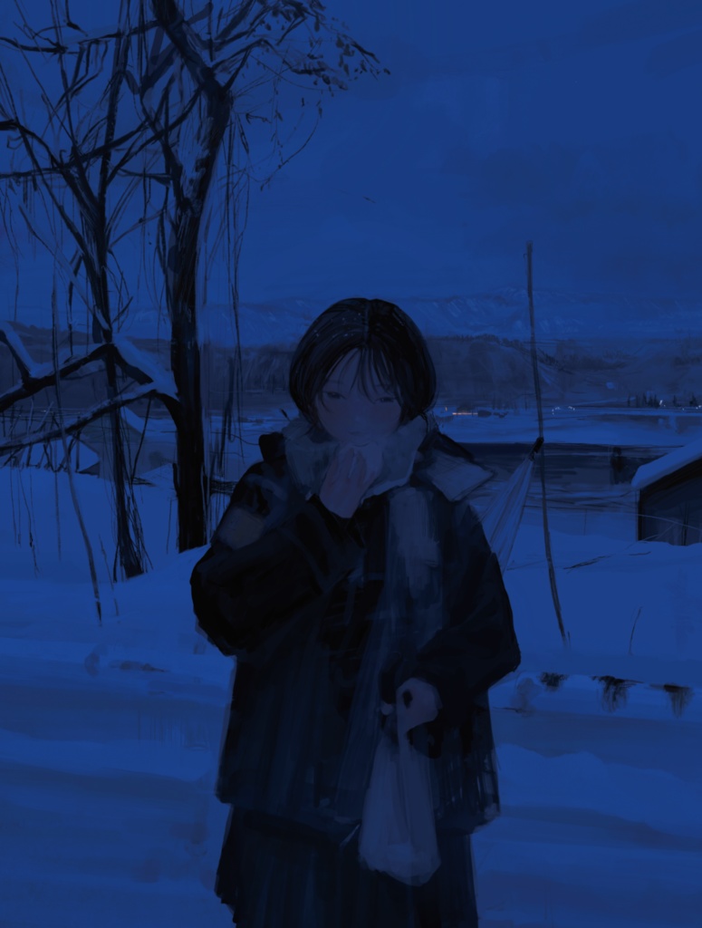 完全攻略!冬の曇り空