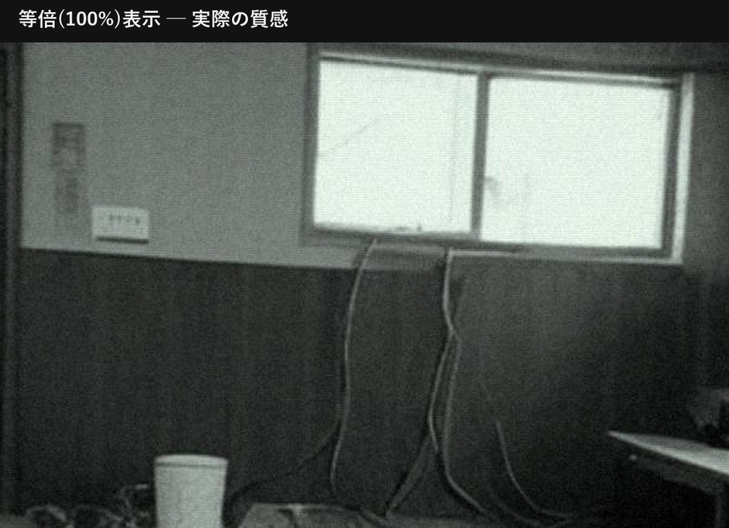 【商用可】監視カメラ風 リミナルスペース画像素材 100枚|Plant Vol.2(3072×2048)