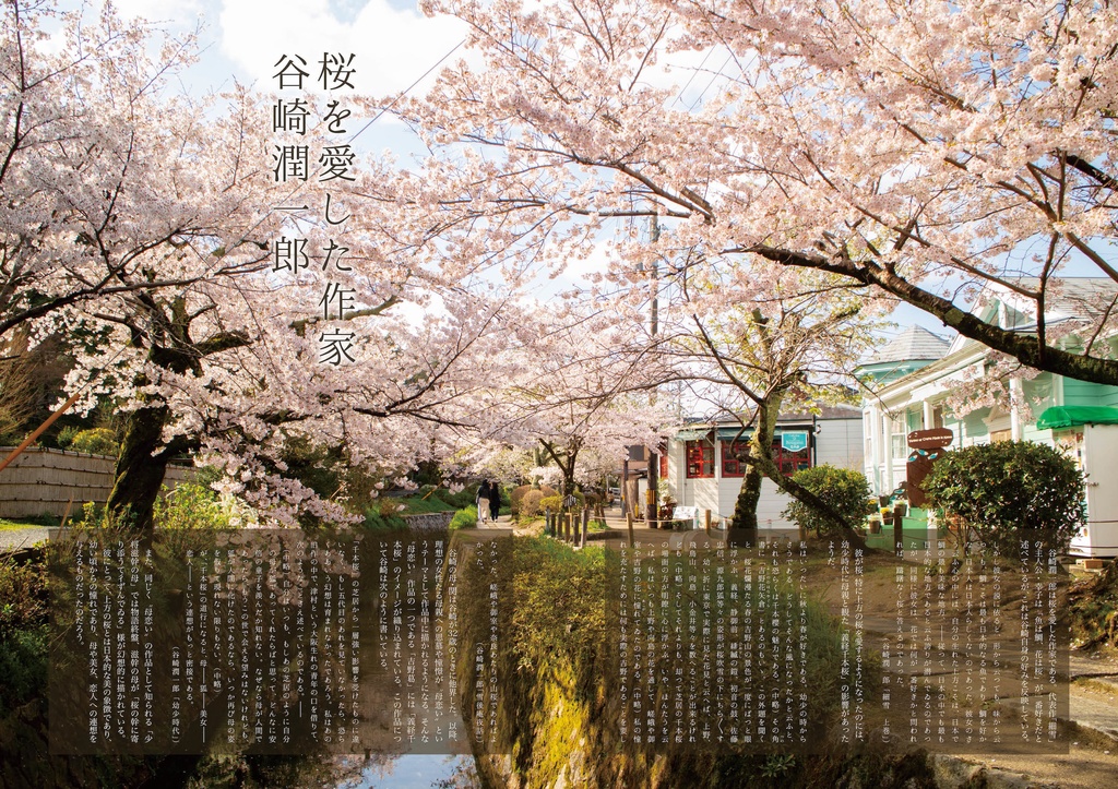 谷崎潤一郎が愛した京の桜案内