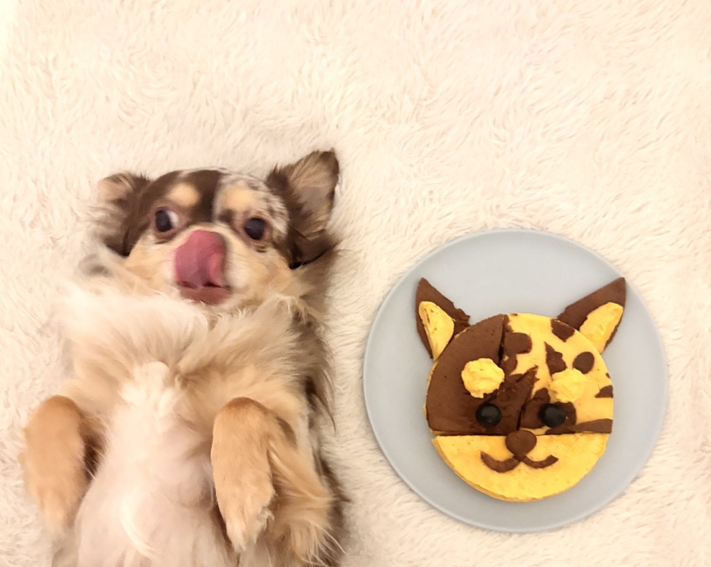 うちの子かぼちゃケーキ𓌉🥞𓇋 ‎ 余りもわん用おやつに🍪