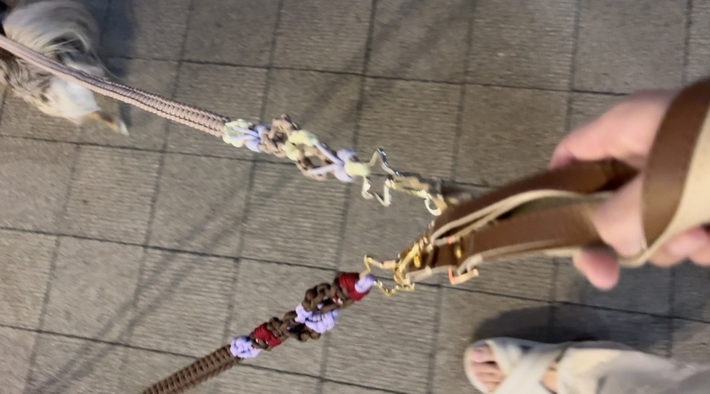 大切なお散歩時間の一部を作りました。(お花とリボン編)