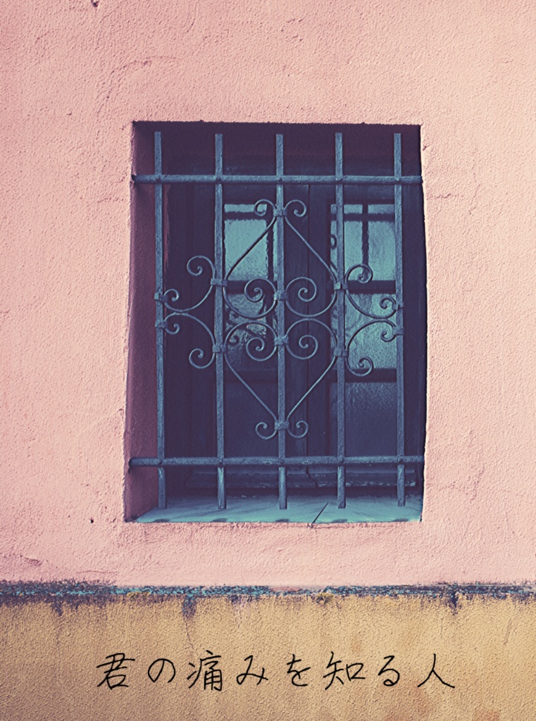 君の痛みを知る人