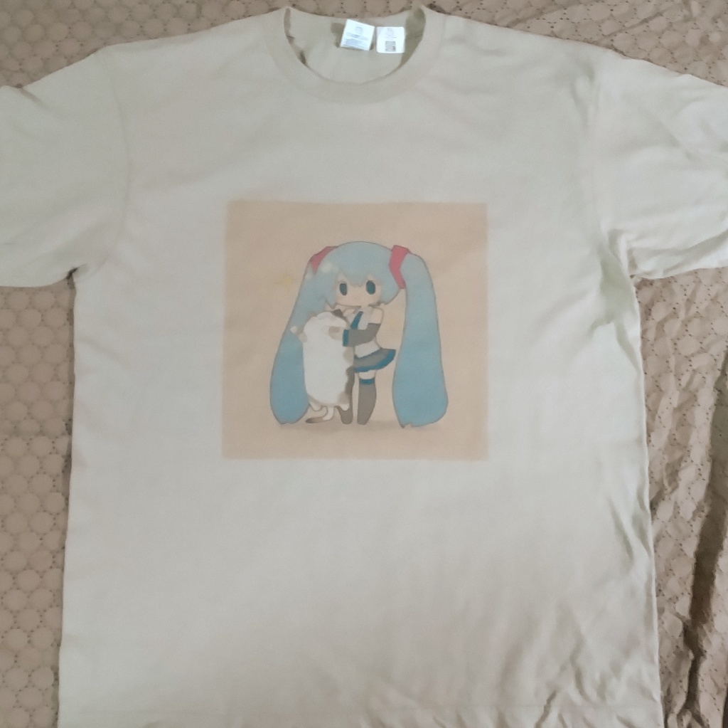 Tシャツ(XL)