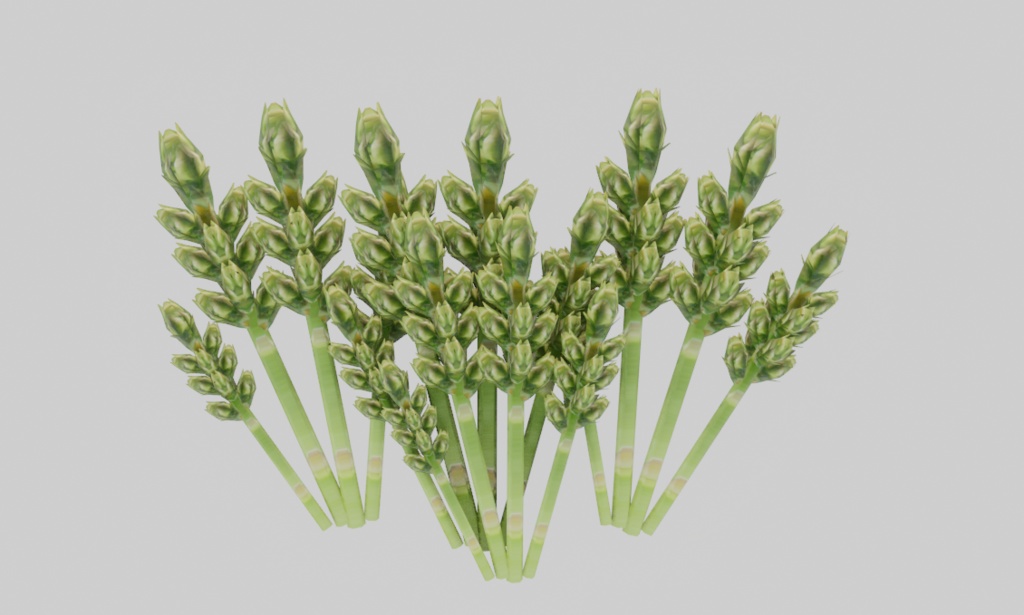 ファンタジー飯(42点)