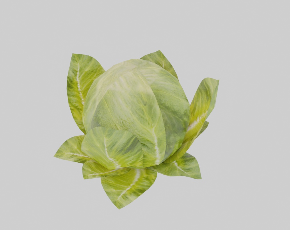 ファンタジー飯(42点)