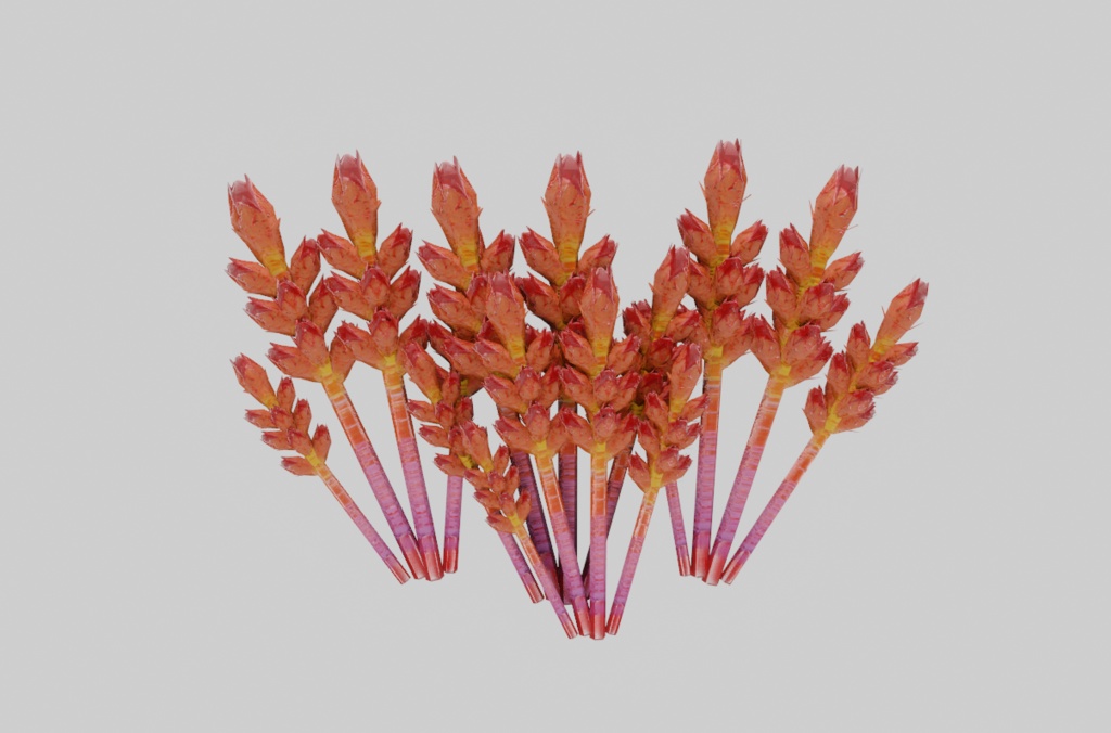 ファンタジー飯(42点)