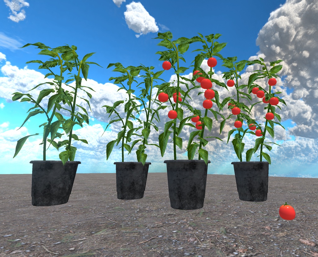 初めての畑づくり(49点)